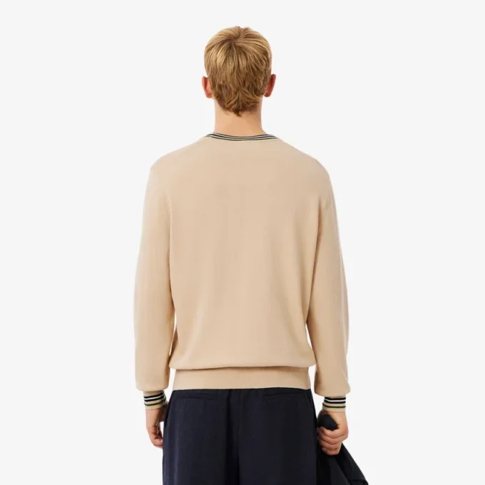 Gestreepte katoenen jersey trui voor heren