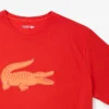 Heren Sport T-shirt met print, lange pasvorm, katoen