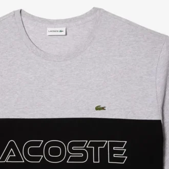 Heren T-shirt met colorblock-print in grote maten