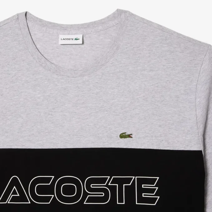 Heren T-shirt met colorblock-print in grote maten