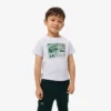 Katoen T-shirt met grafische print
