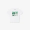 Katoen T-shirt met grafische print