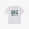 Katoen T-shirt met grafische print