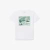 Katoen T-shirt met grafische print
