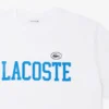 Katoenen jersey T-shirt – Grote maten – Big