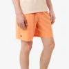 Lacoste Tennis X Novak Djokovic-short voor heren